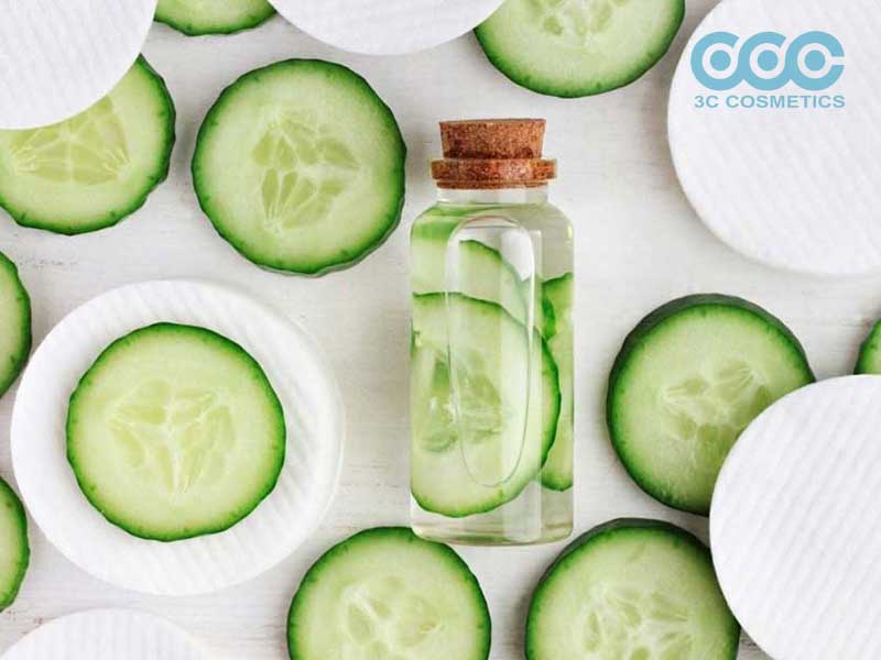Chiết xuất dưa leo ( Cucumber Fruit Extract)